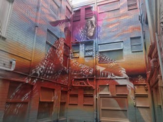 Miami Courtyard Art by @CTOArt