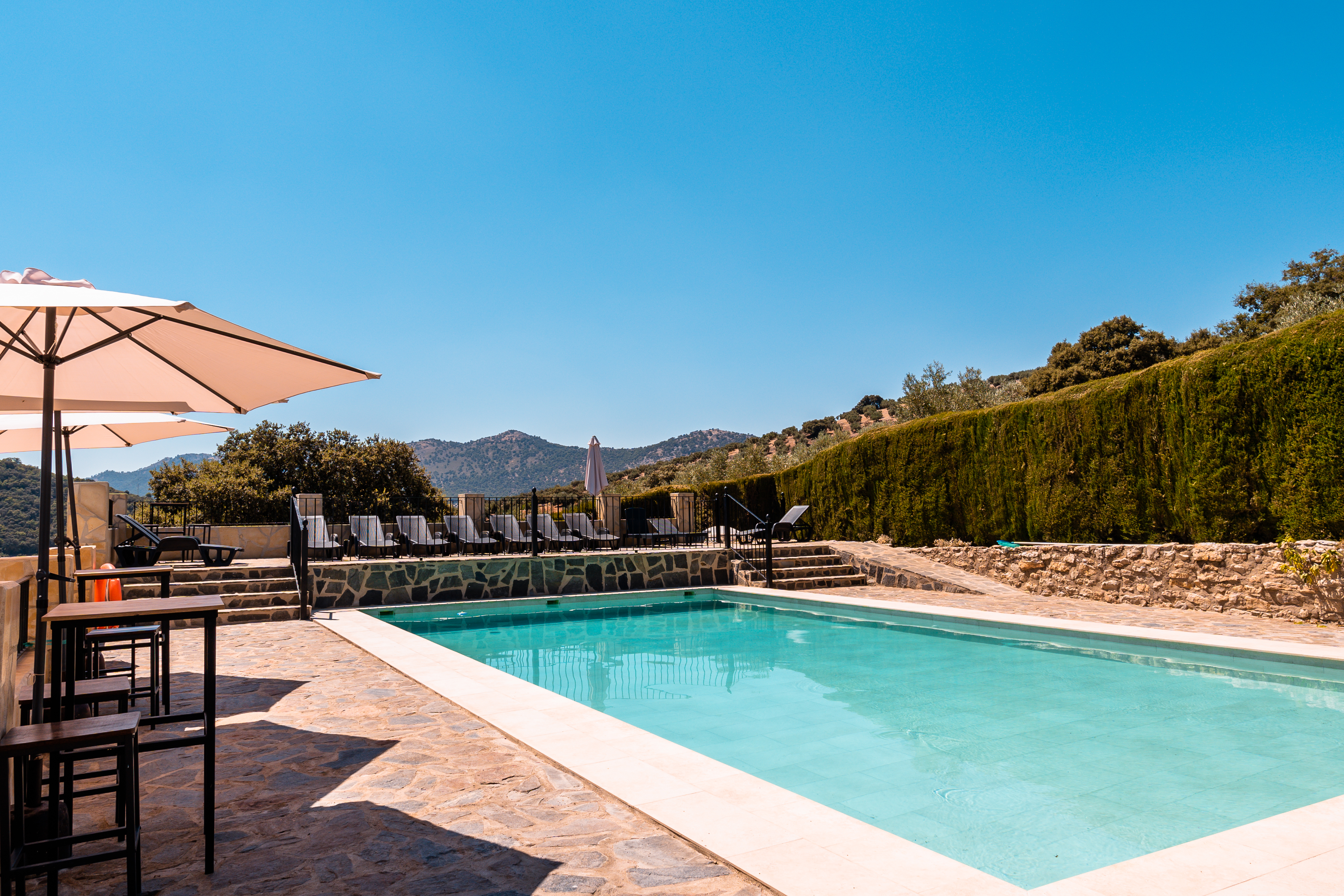 Swimming pool surrounded by sun loungers, gardens and olive groves