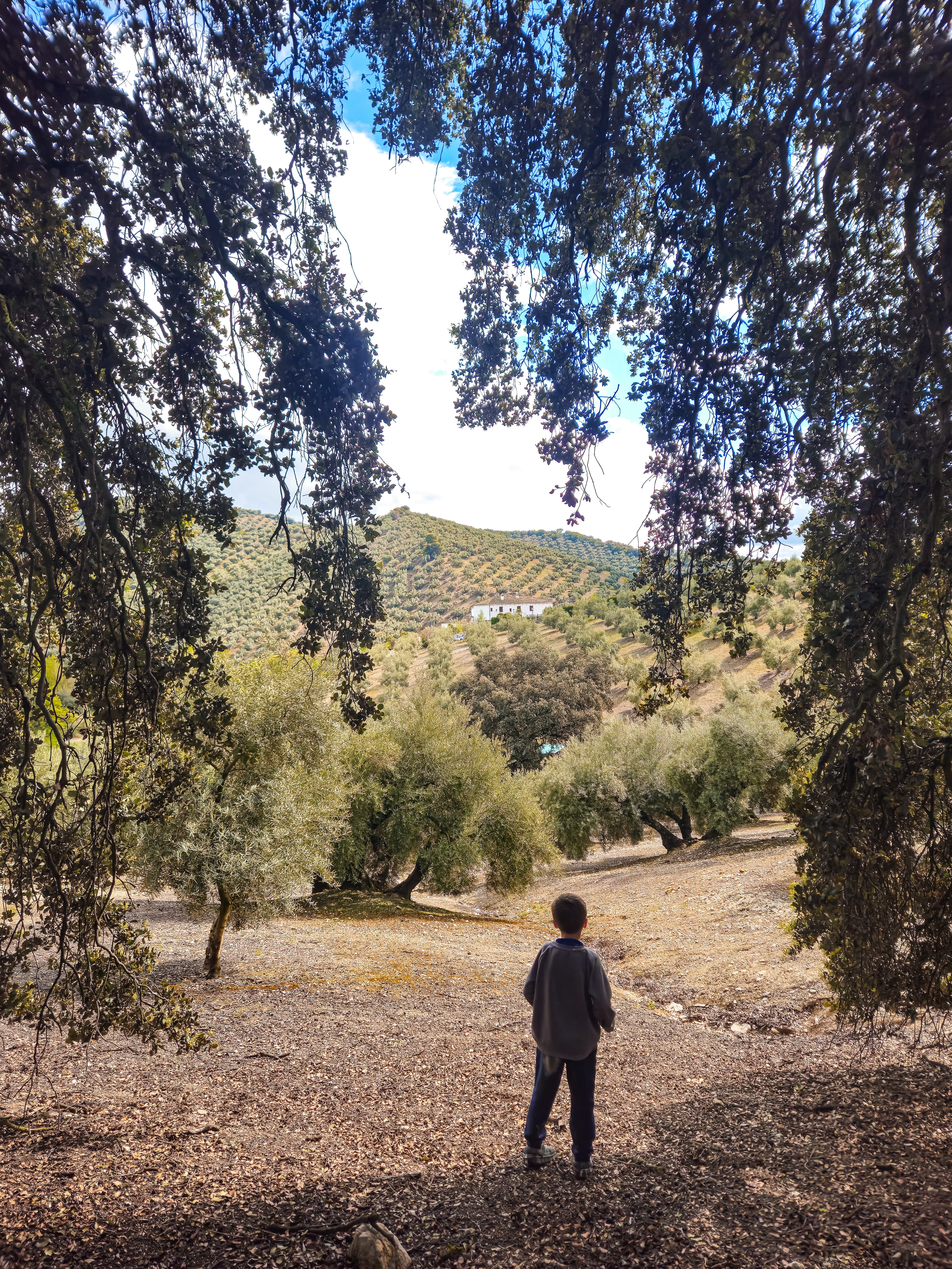 Image of the rustic 18th‑century Andalusian farmhouse façade framed by olive trees