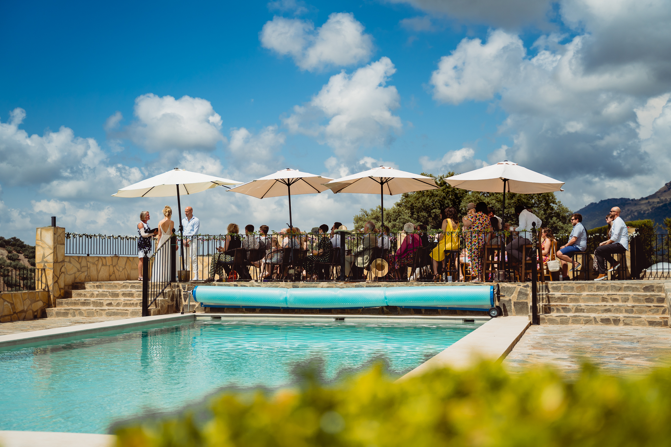 Swimming pool surrounded by sun loungers, gardens and olive groves