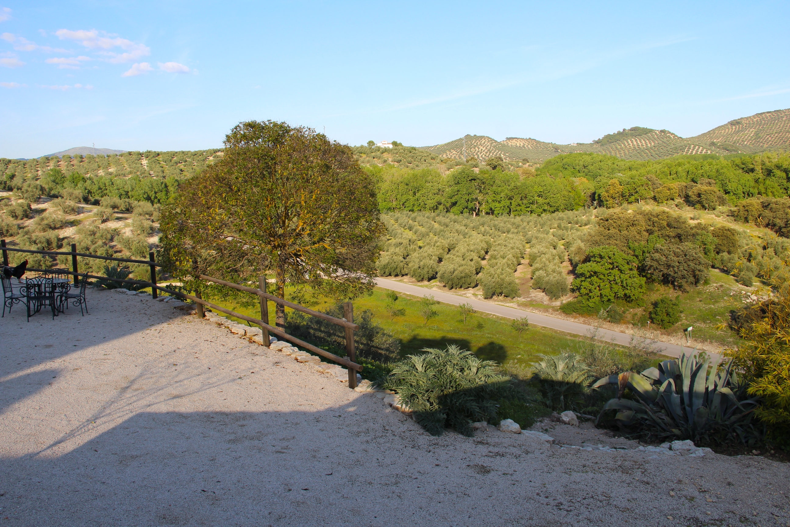 View of the Sierra Subbética landscape with hiking trails and rolling hills