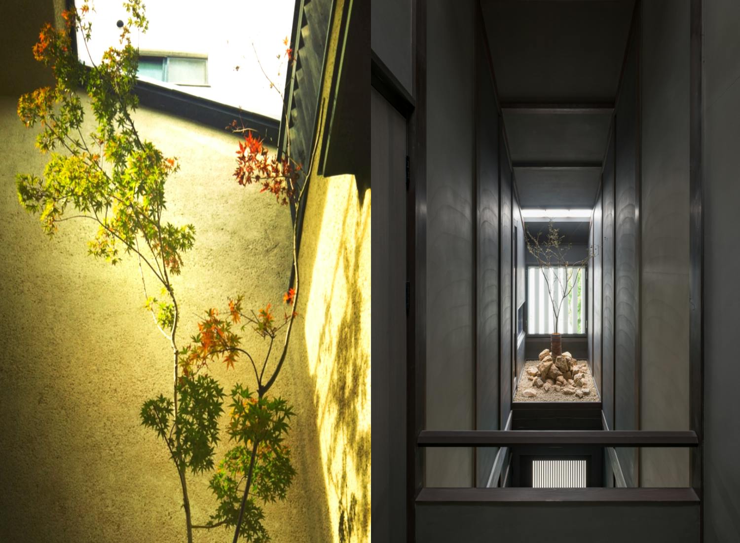 Kyoto Komatsu Residences - central garden and indoor garden installation by Replanter