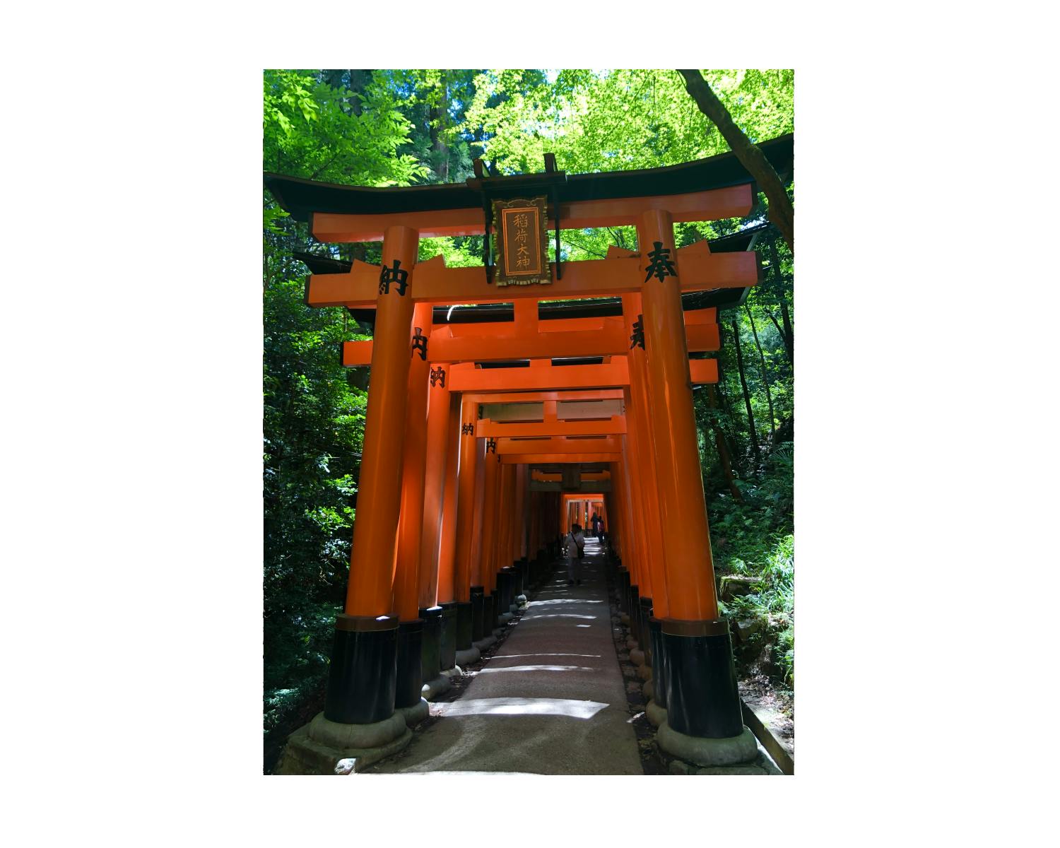 KyotoFushimi Inari Shrine - Shimaya eConcierge team weaves destinations like this into a customised itinerary for its guests
