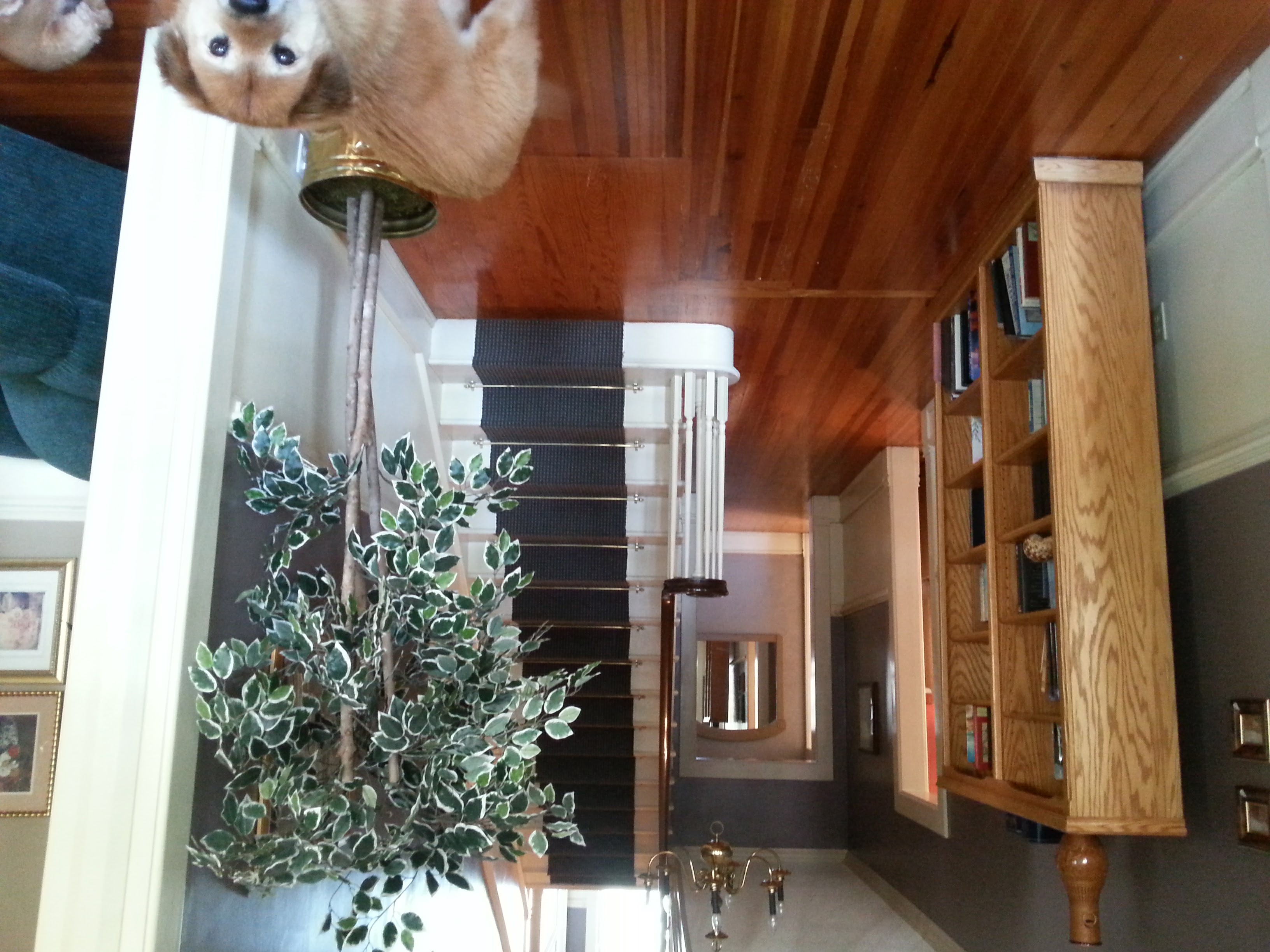 Gallery The Hunter House Madison