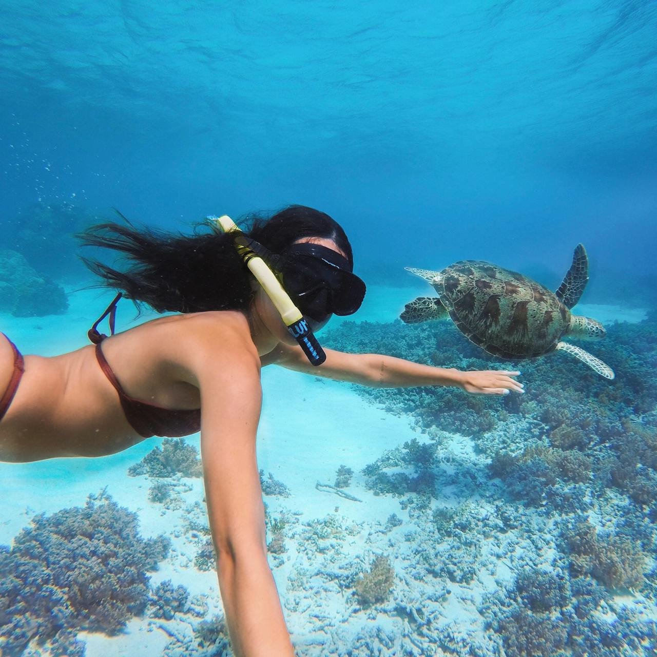 Sea turtle encounter during a scuba diving experience in Gili Trawangan