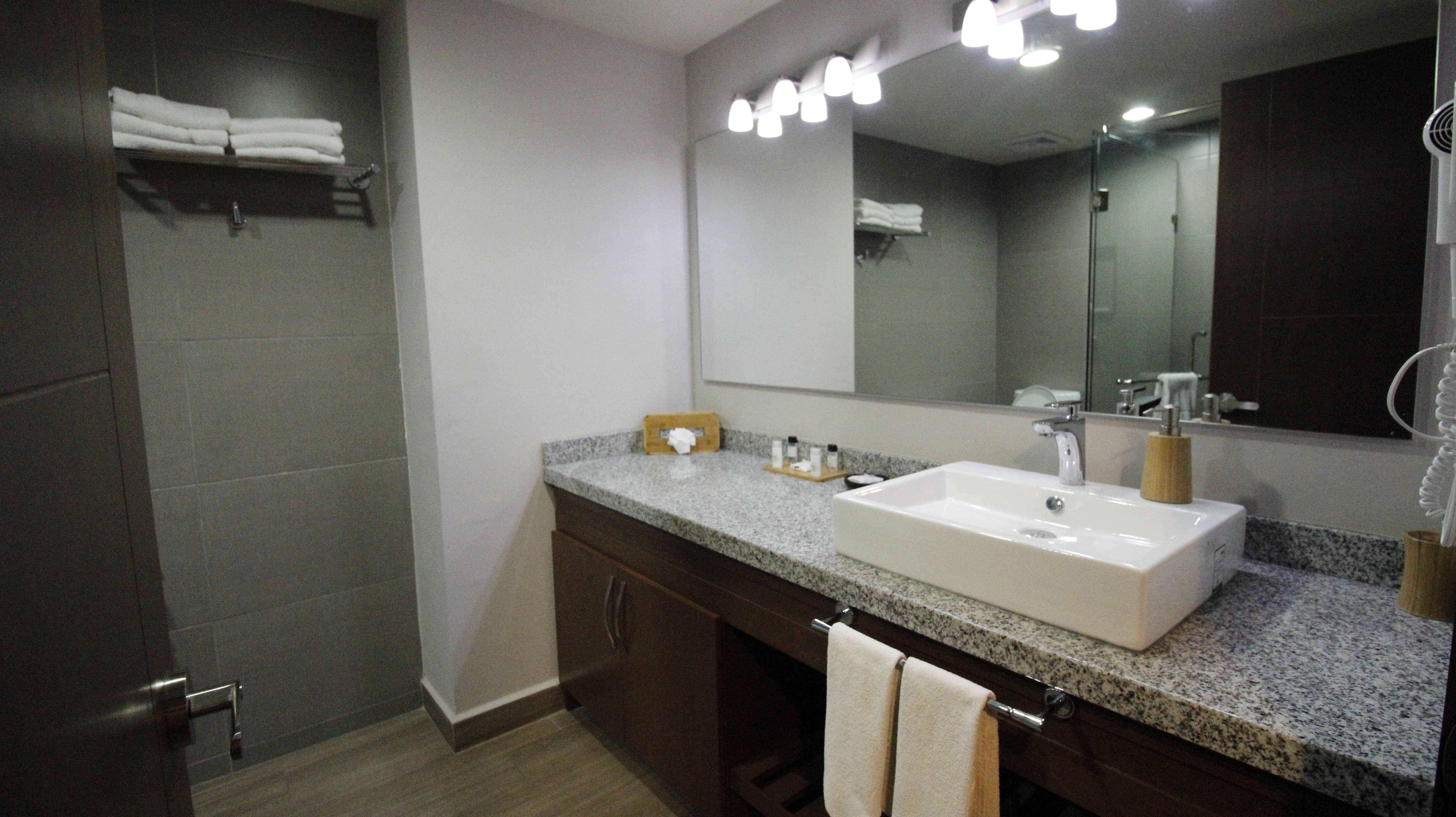 Estandar 1 Cama King Vista Lago