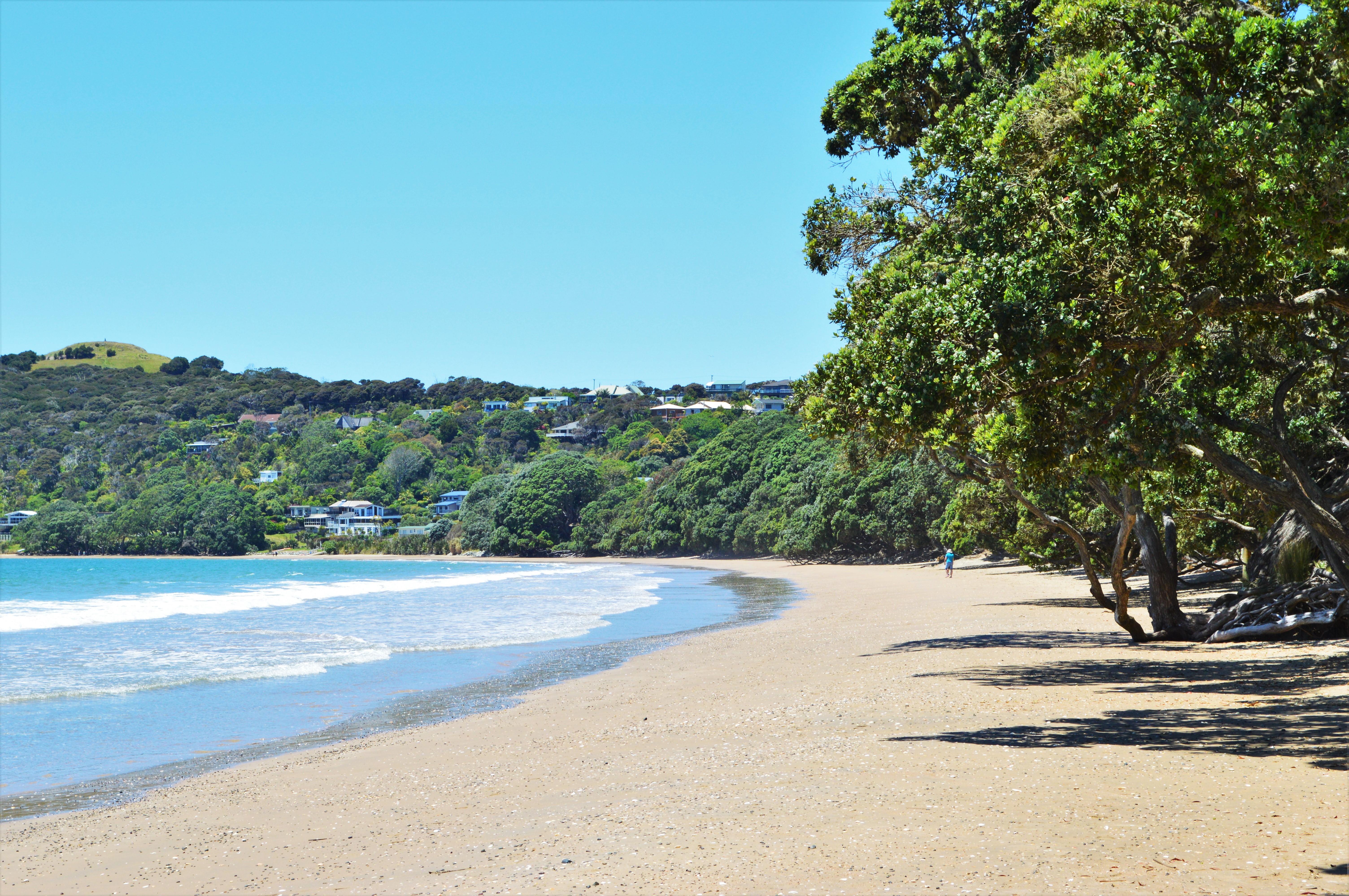Coopers Beach, Doubtless Bay, New Zealand