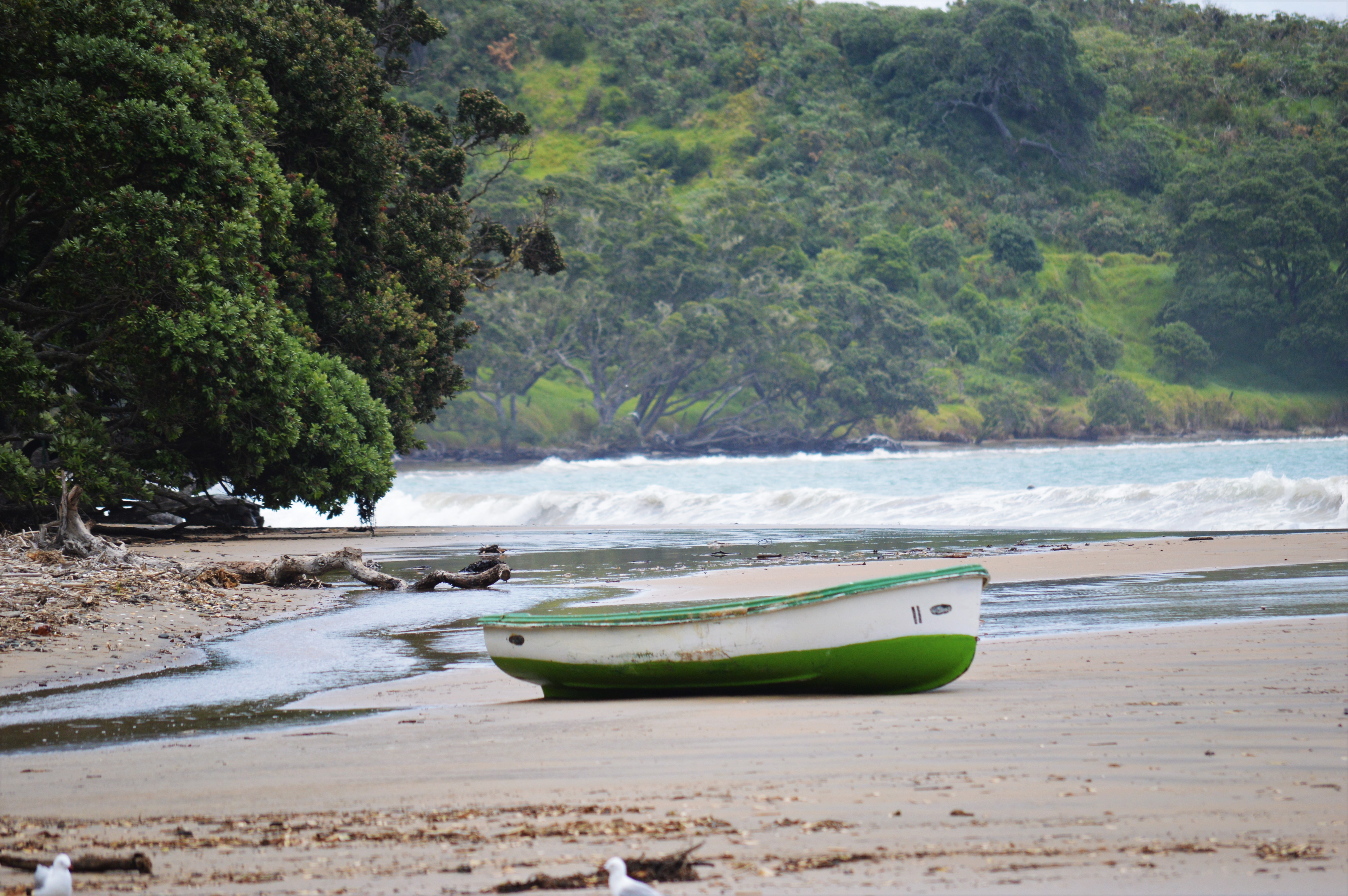 Coopers Beach, Doubtless Bay, New Zealand
