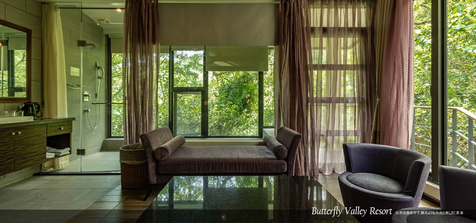 館別介紹 全國最大的樟樹森林 享受芬多精的薰陶 館別介紹 全國最大的樟樹森林 享受芬多精的薰陶