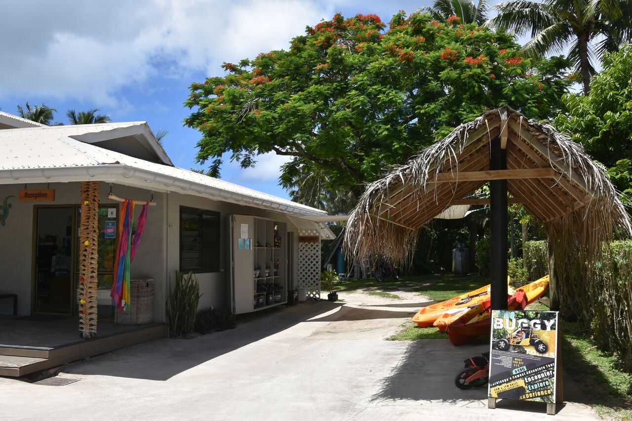 Complimentary Kayaks and Snorkeling Equipment