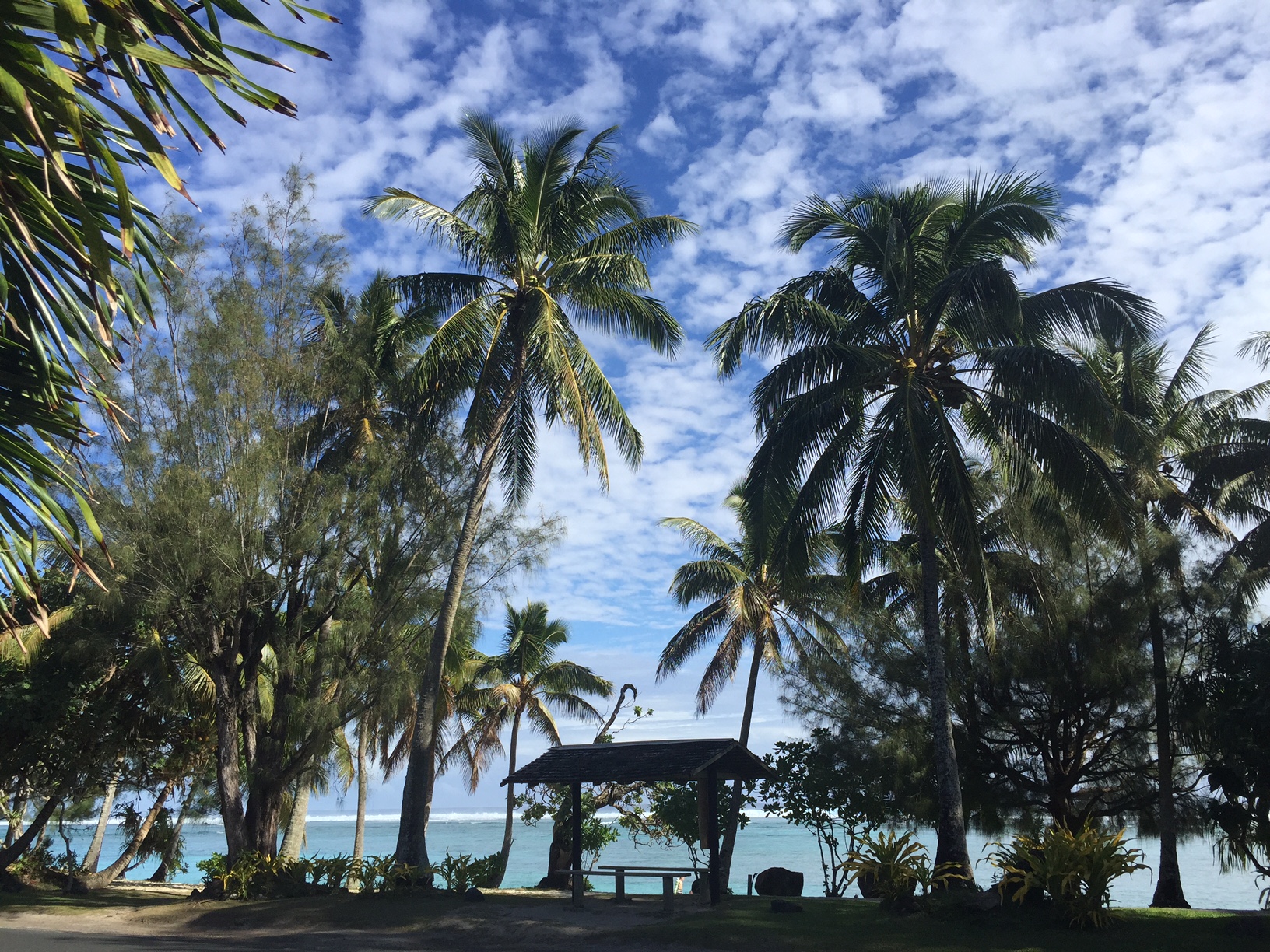 Bus Stop outside the resort