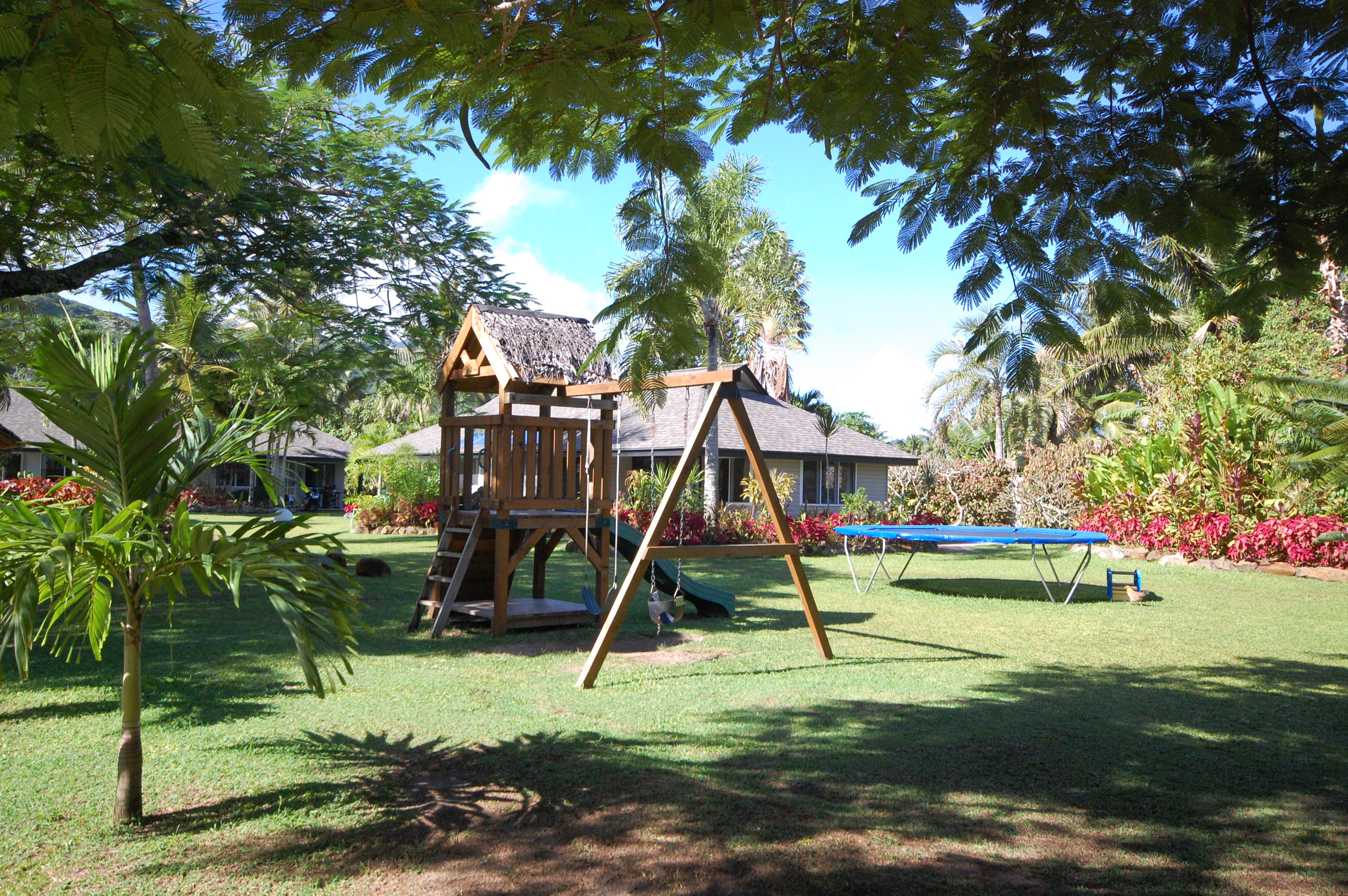 Play Area