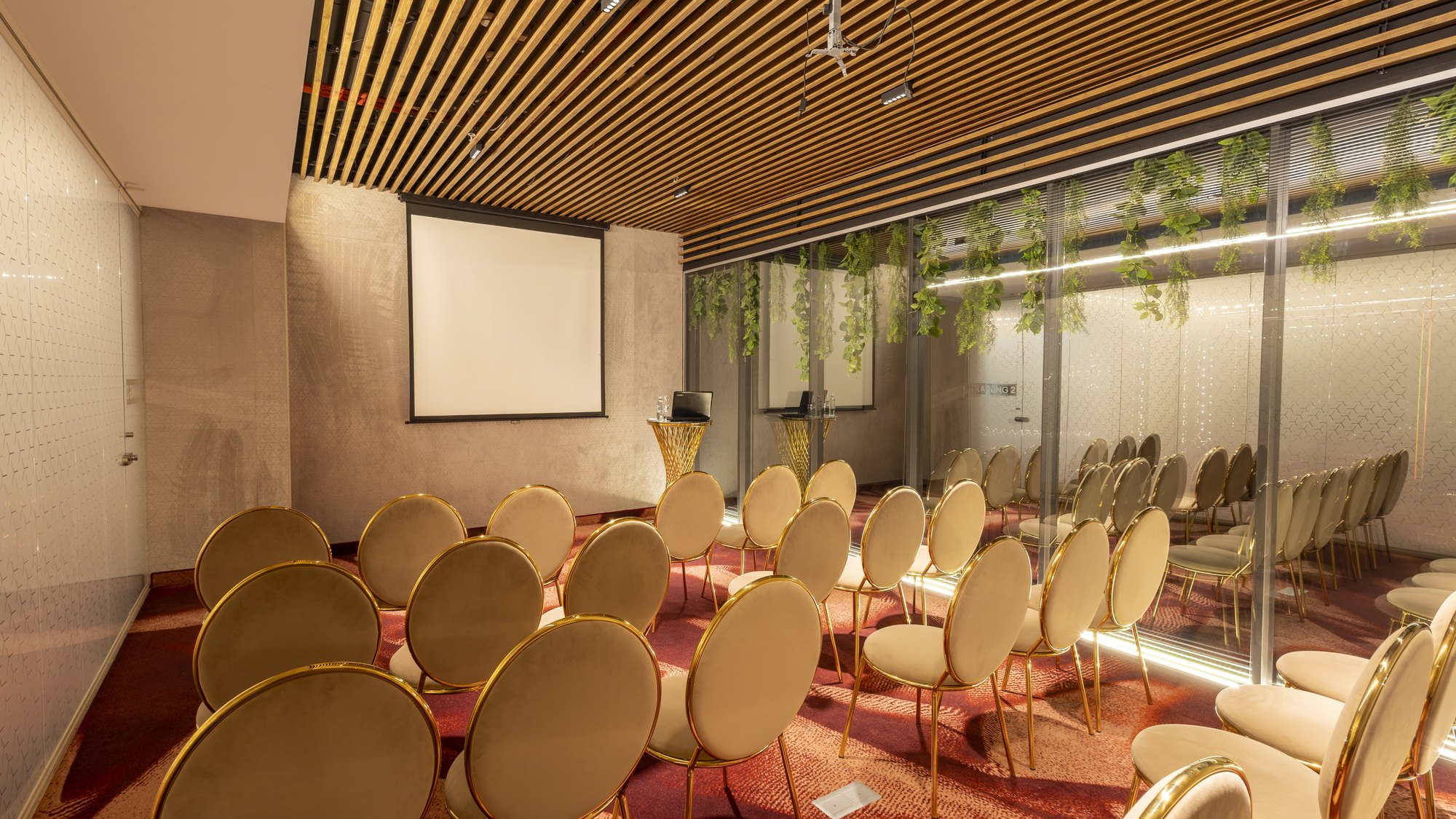 Training 2 meeting room set theatre-style
