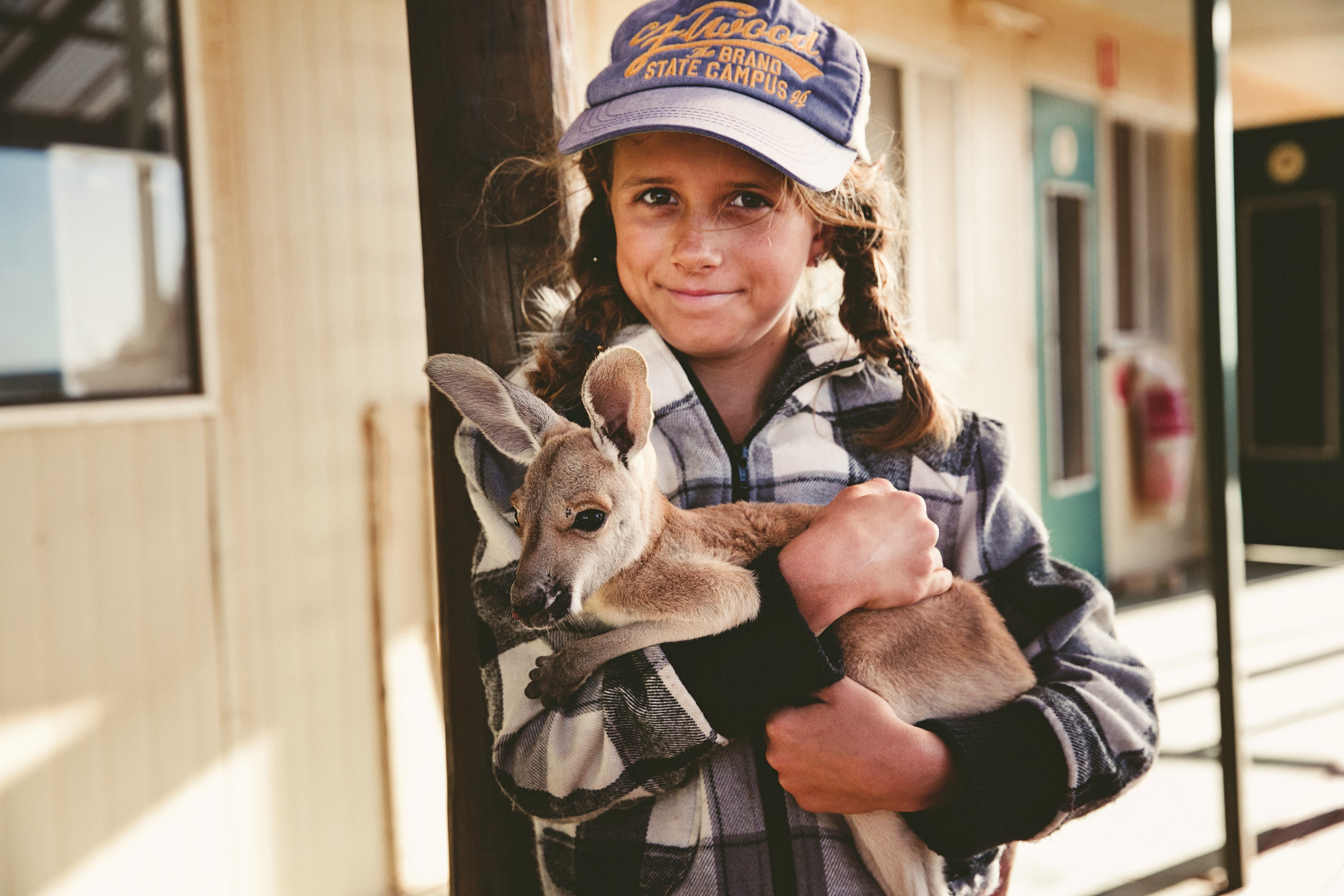 Warroora - kangaroos