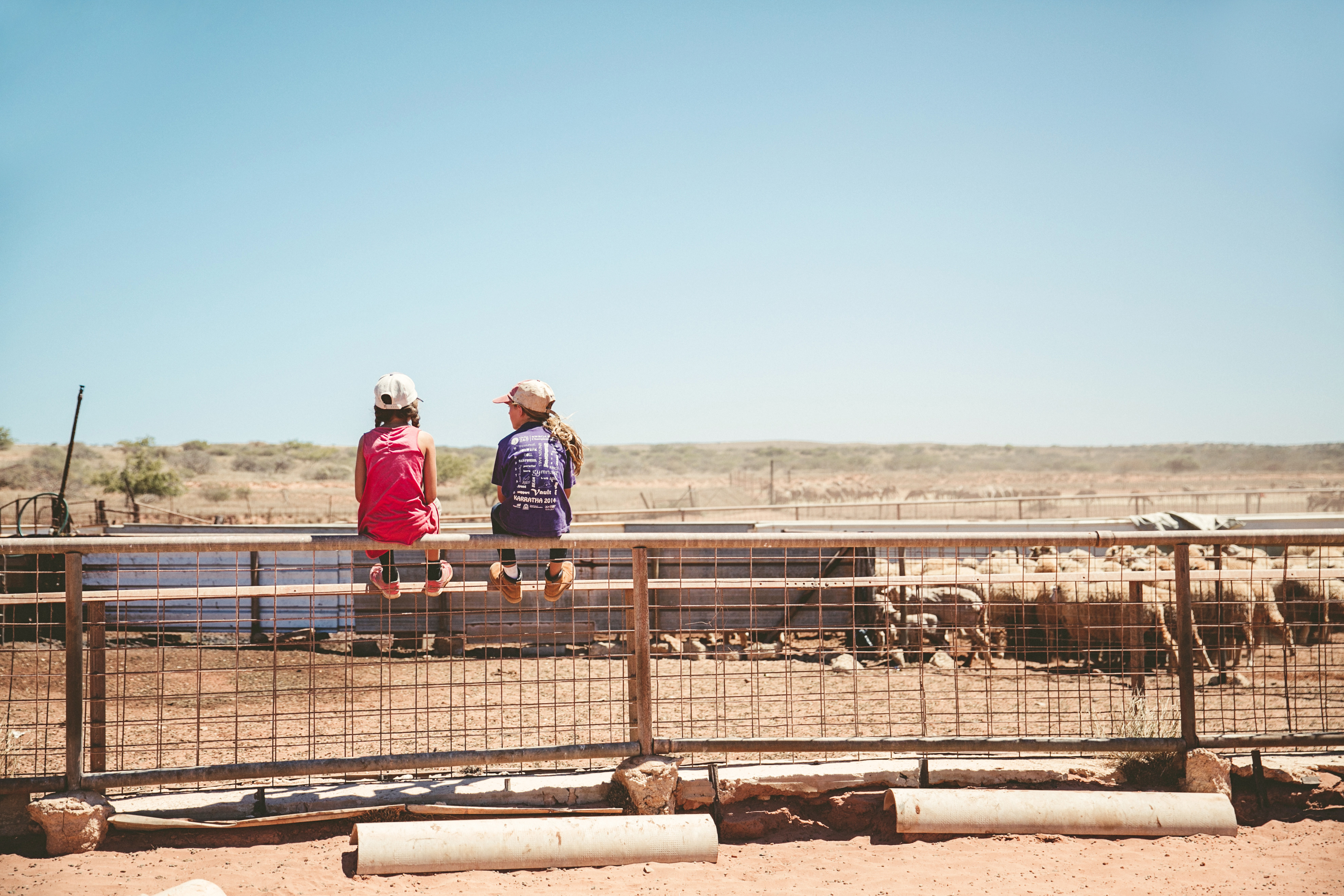 Warroora sheep station
