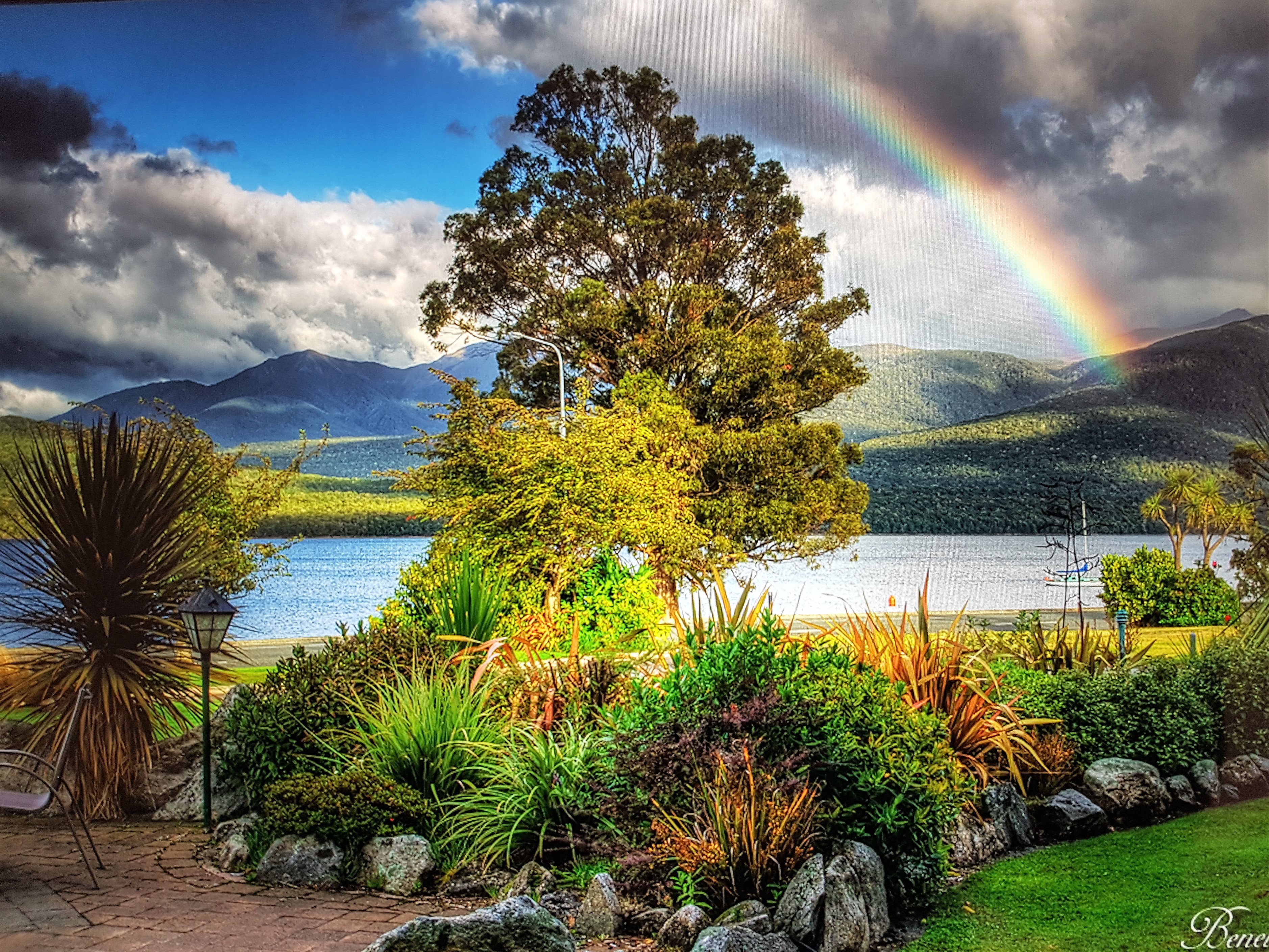 Our outside native garden