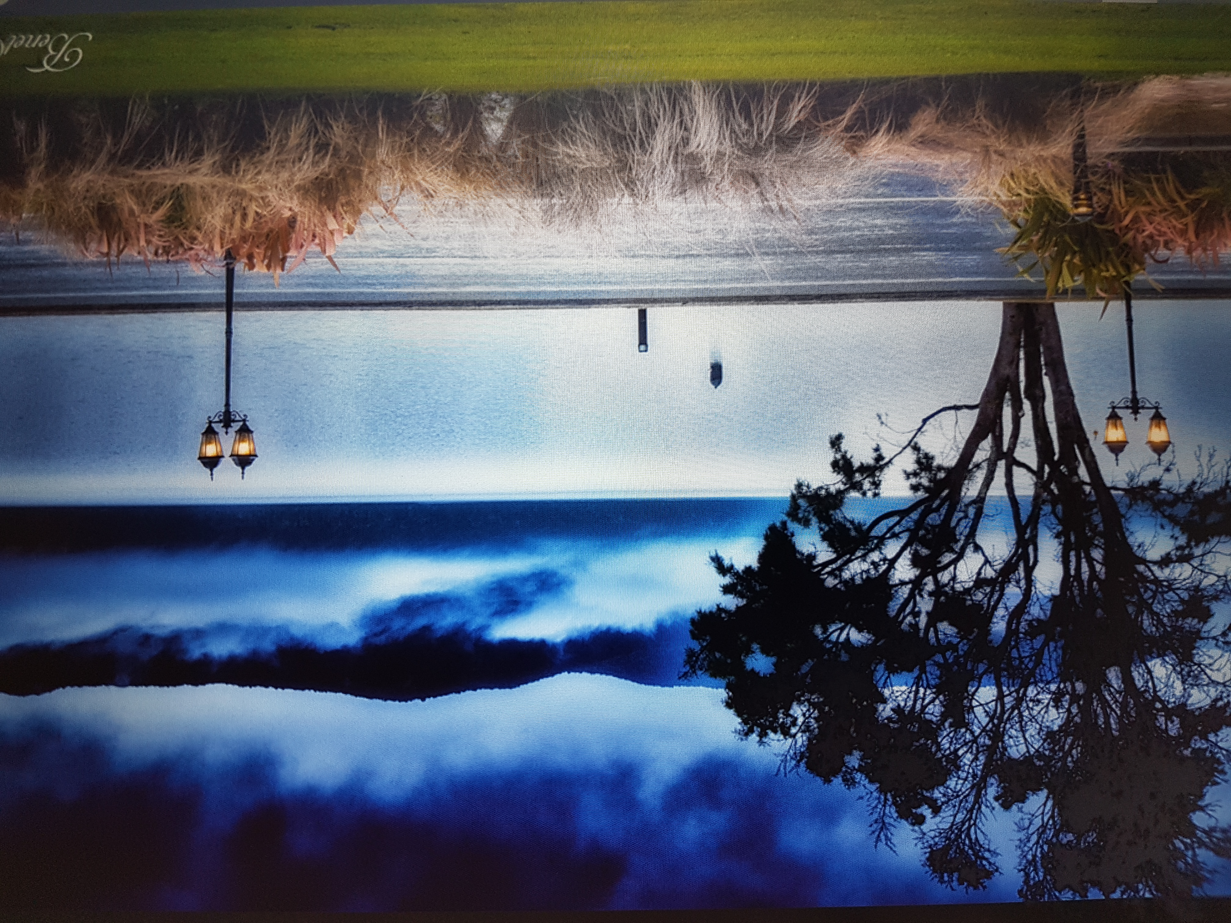 View from our property