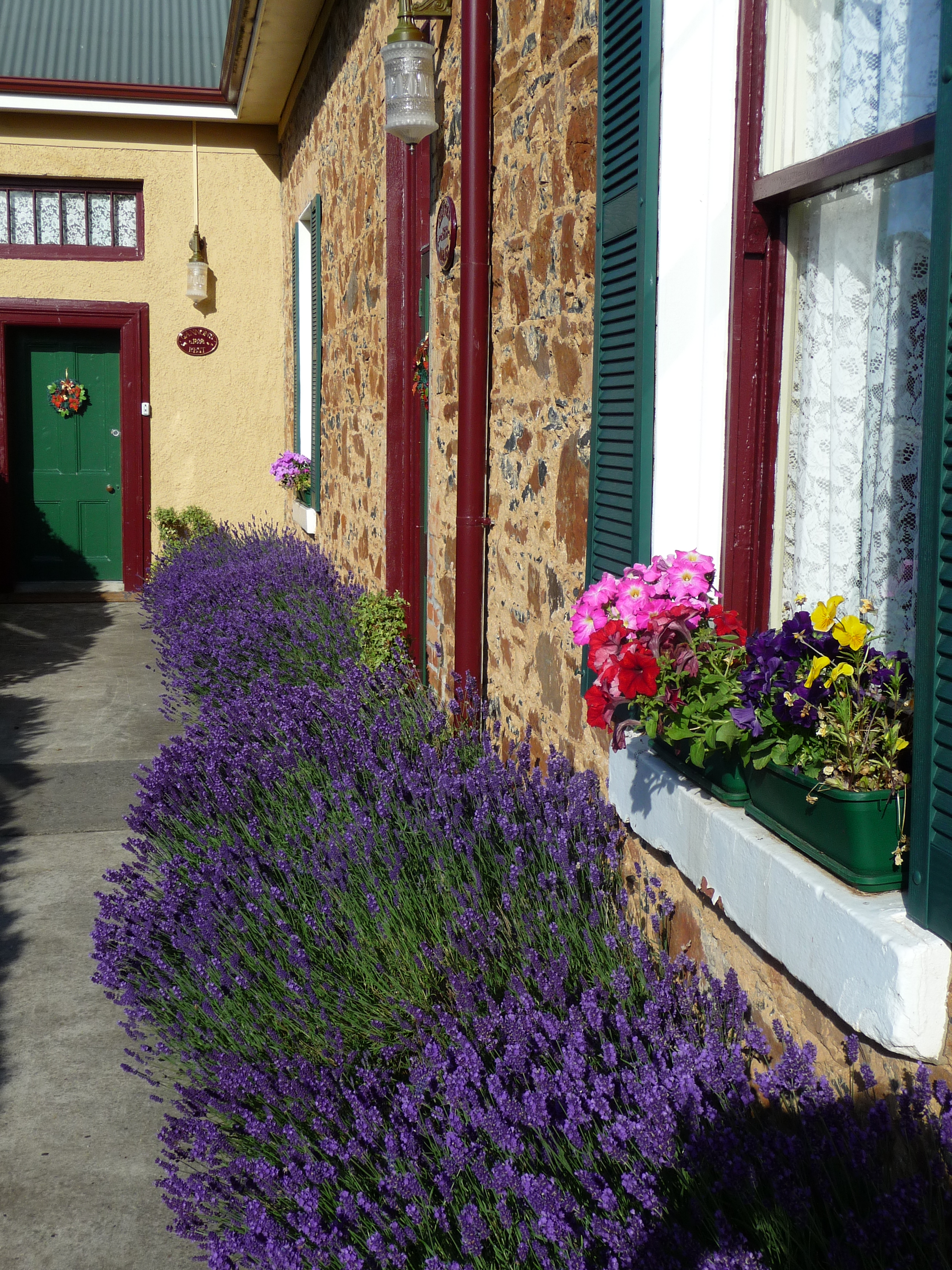 The stunning colour in the gardens of Blakes Manor Tasmania changes all the time!