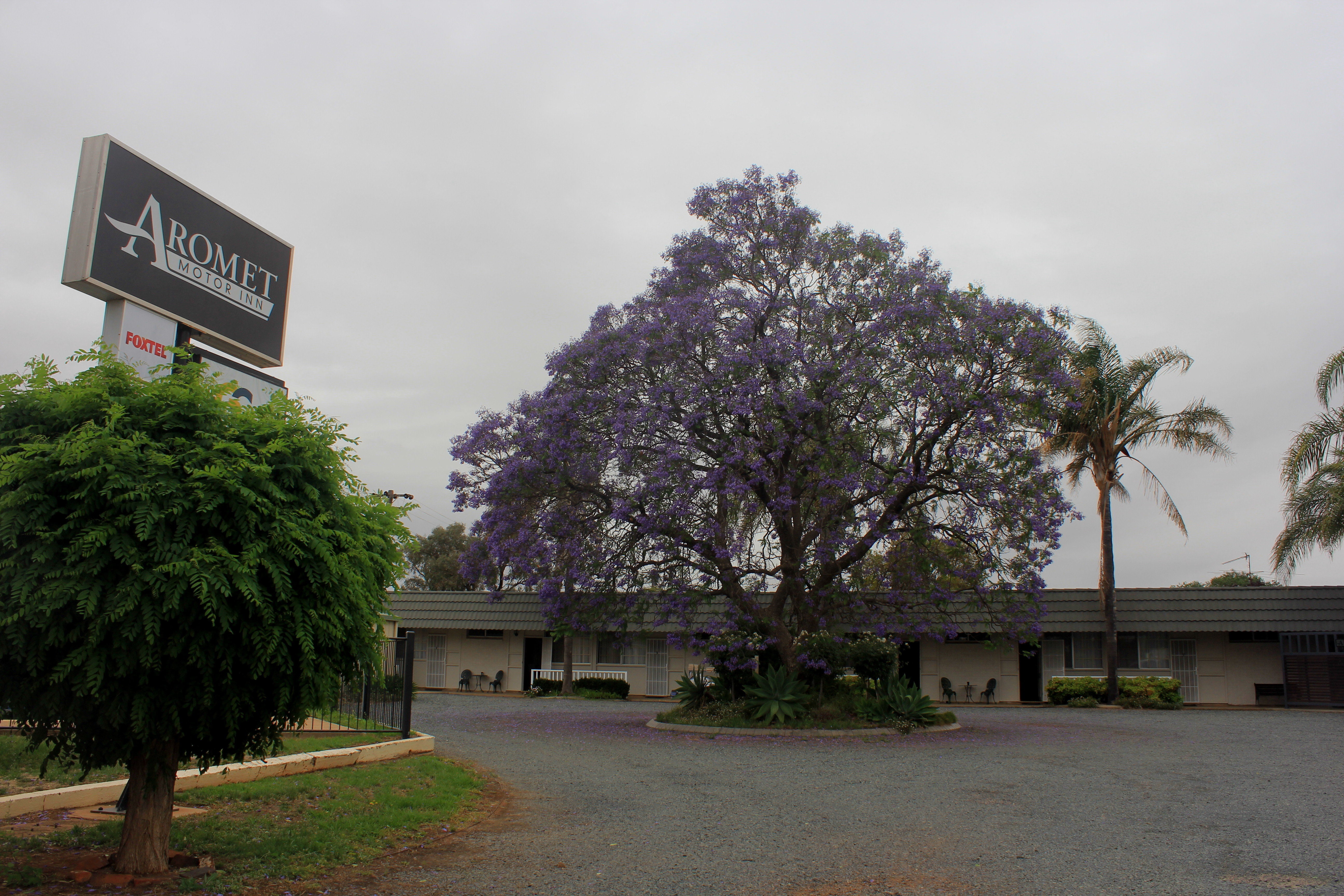 Ground floor rooms 1