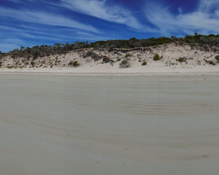 panoramic view beach at Tasmania