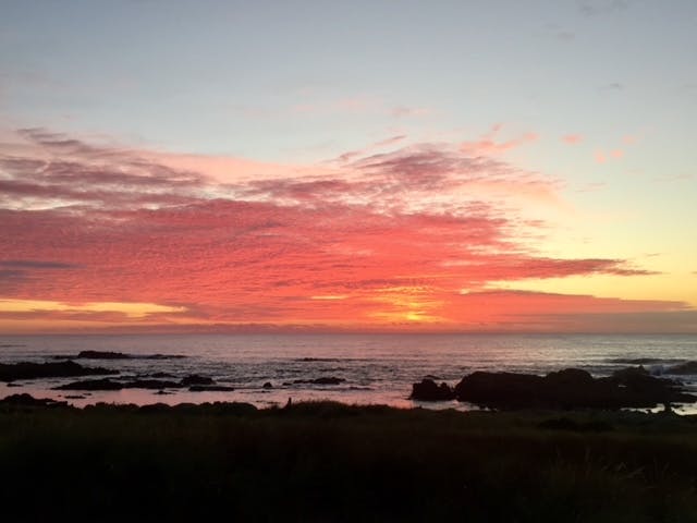 Sunset at Ettrick Rocks - Caladenia