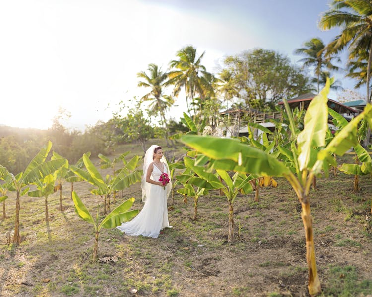 Romantic Caribbean Estates for Weddings