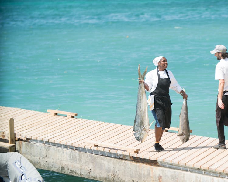 Fresh Fish Catering Dining, Caribbean Islands