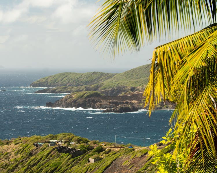 Dream Views Rentals, Grenadine Islands