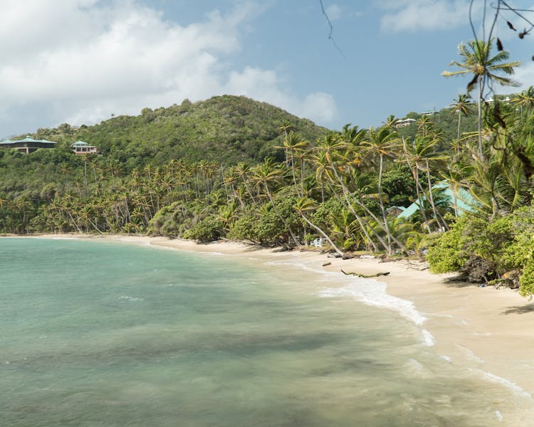 Industry Beach on Bequia, Stay on Islands
