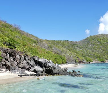 Isle Quatre Island in the Grenadines, Day Trips and Tours Bequia