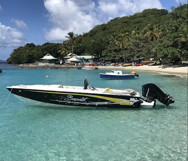 Grenadine Dream Tours, Bandit Powerboat, Private Charters, Boat Trips