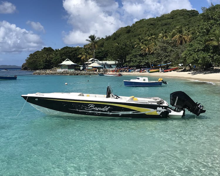 Grenadine Dream Tours, Bandit Powerboat, Private Charters, Boat Trips