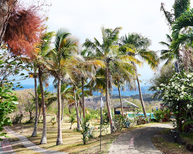 Private Villa Gardens, Bequia Island