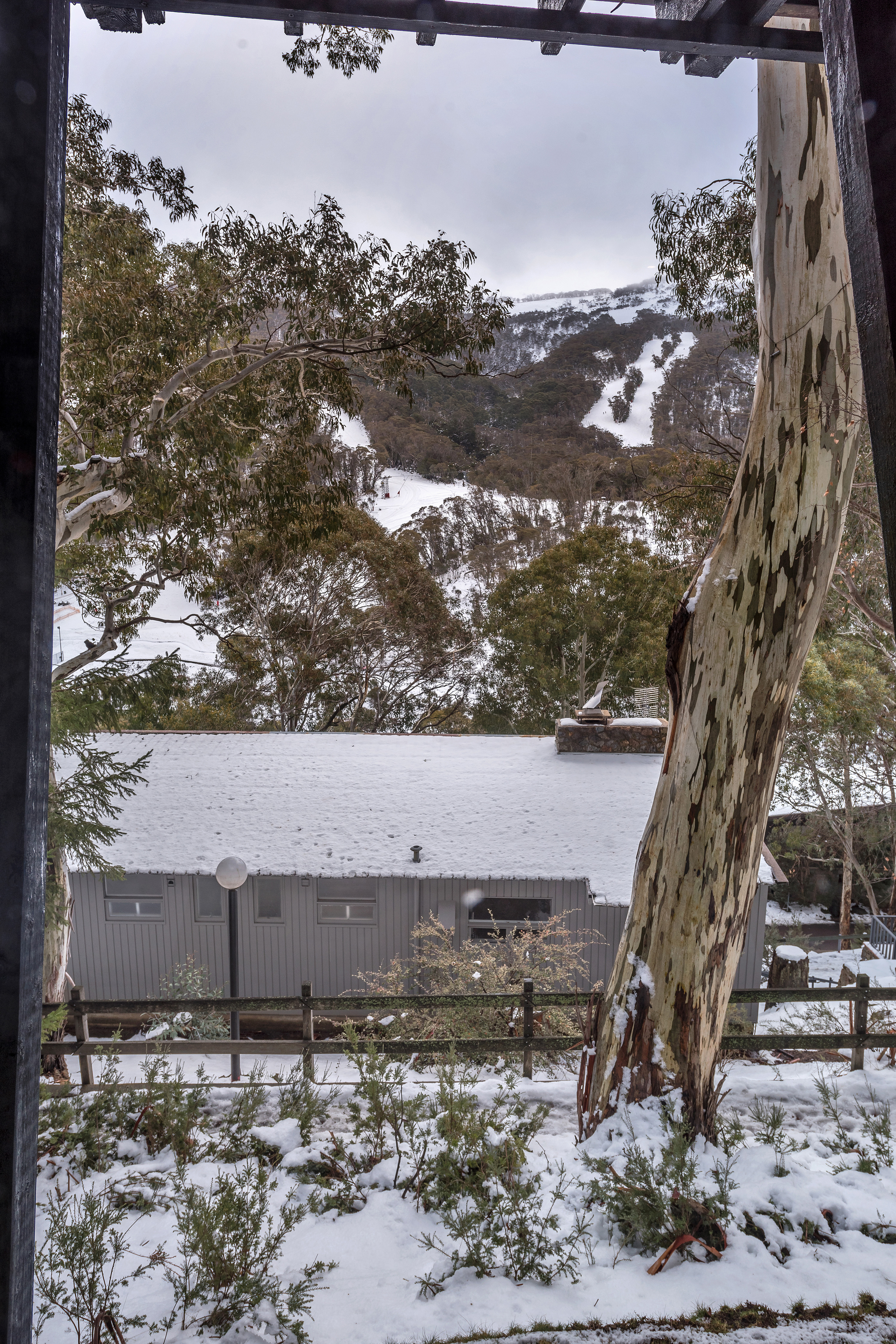 Deluxe King Room 4 - view facing north