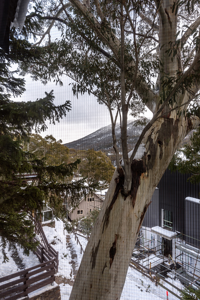 King Room 1 - South view from window