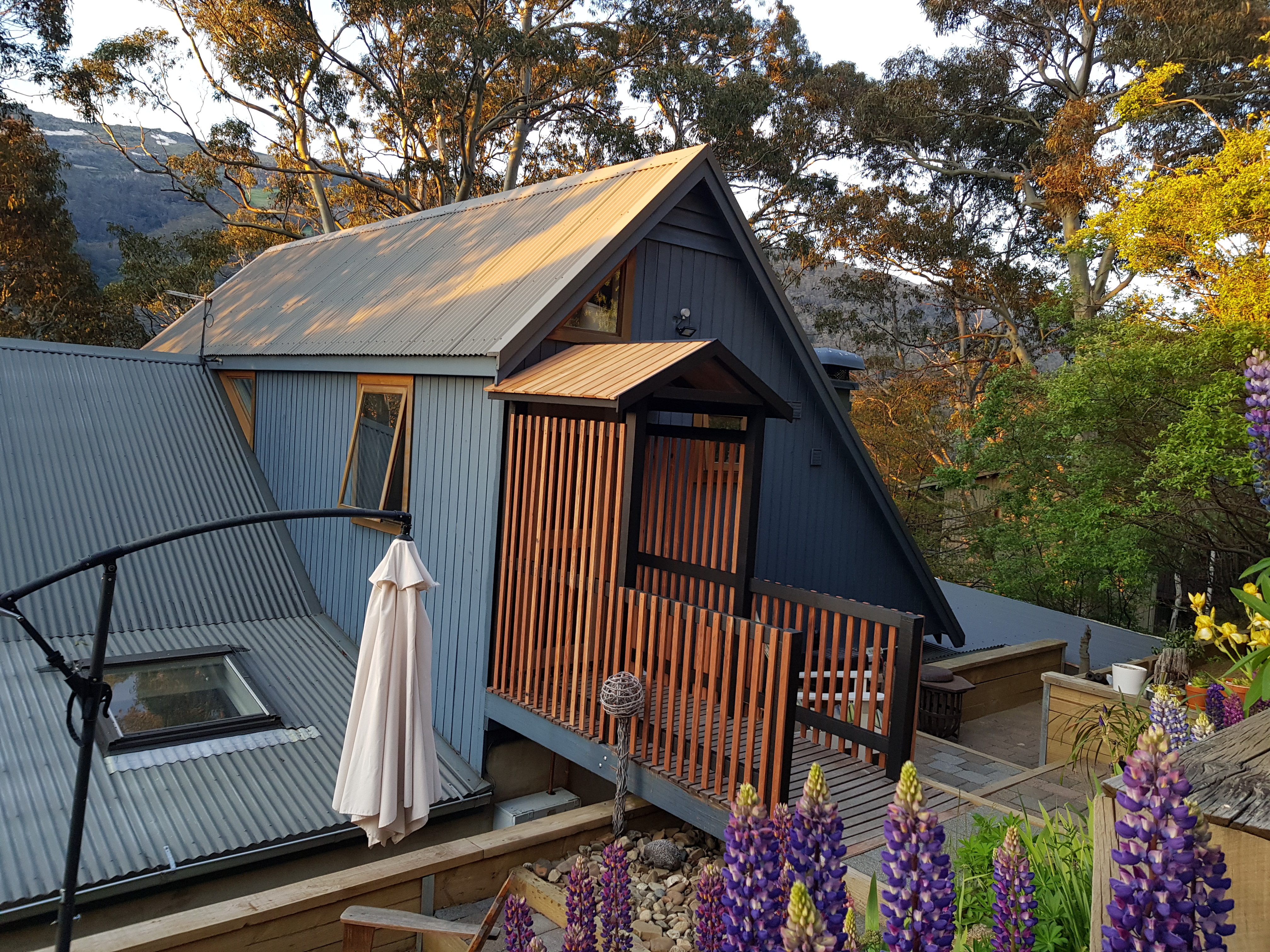 Summer at the Chalet