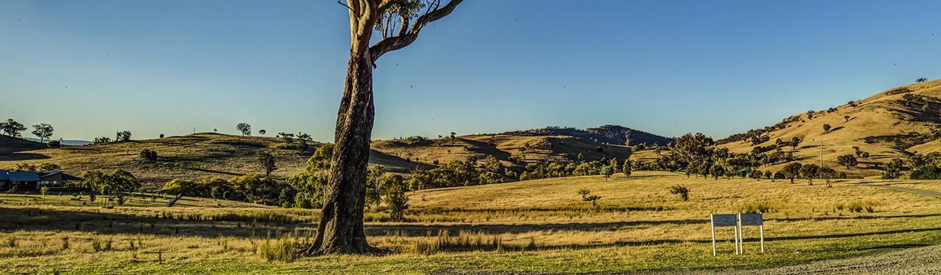Snowy Mountain High Country