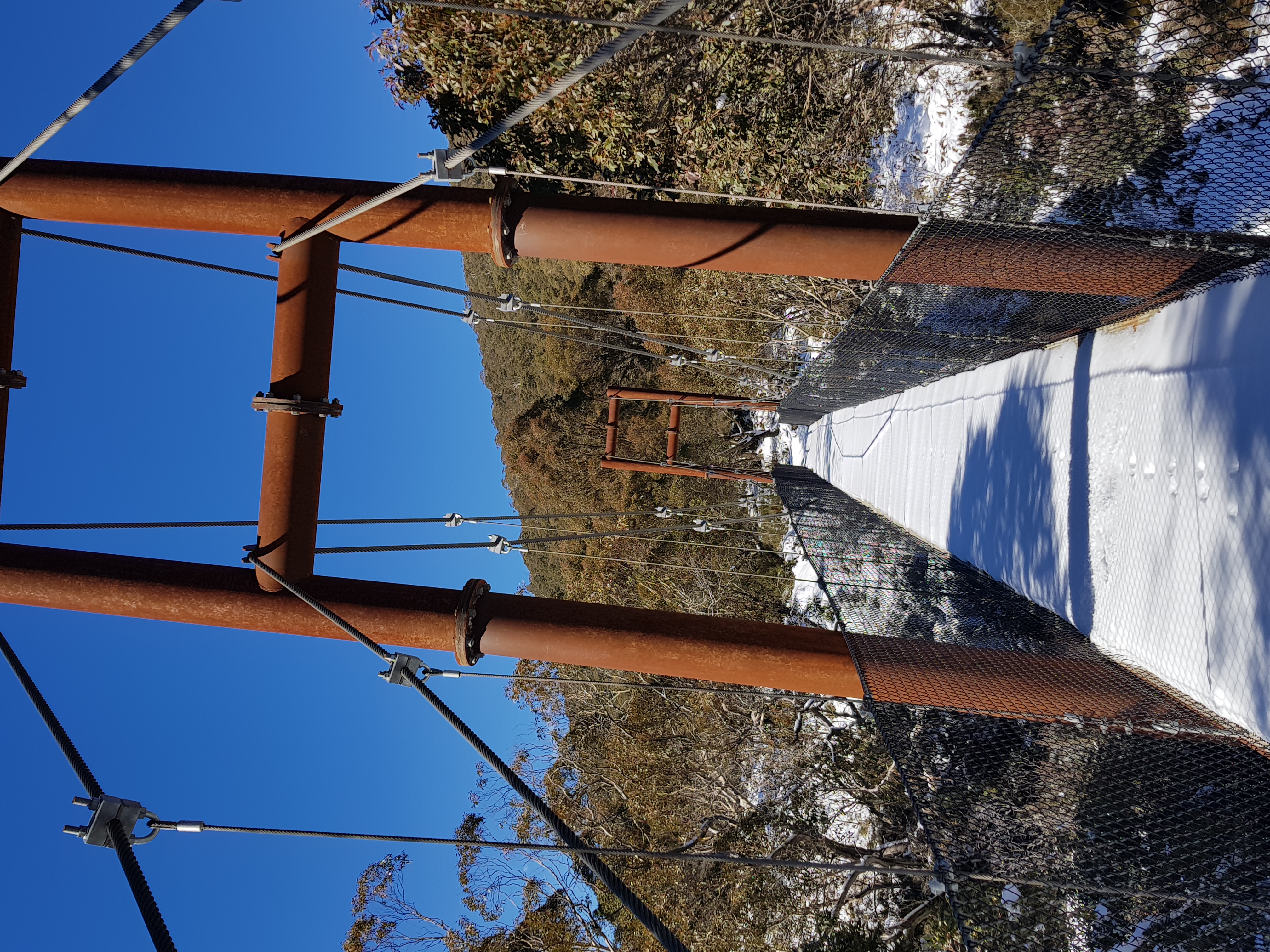 Thredbo Valley Track (TVT) or the 5 bridges walk