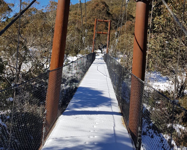 Thredbo Valley Track (TVT) or the 5 bridges walk