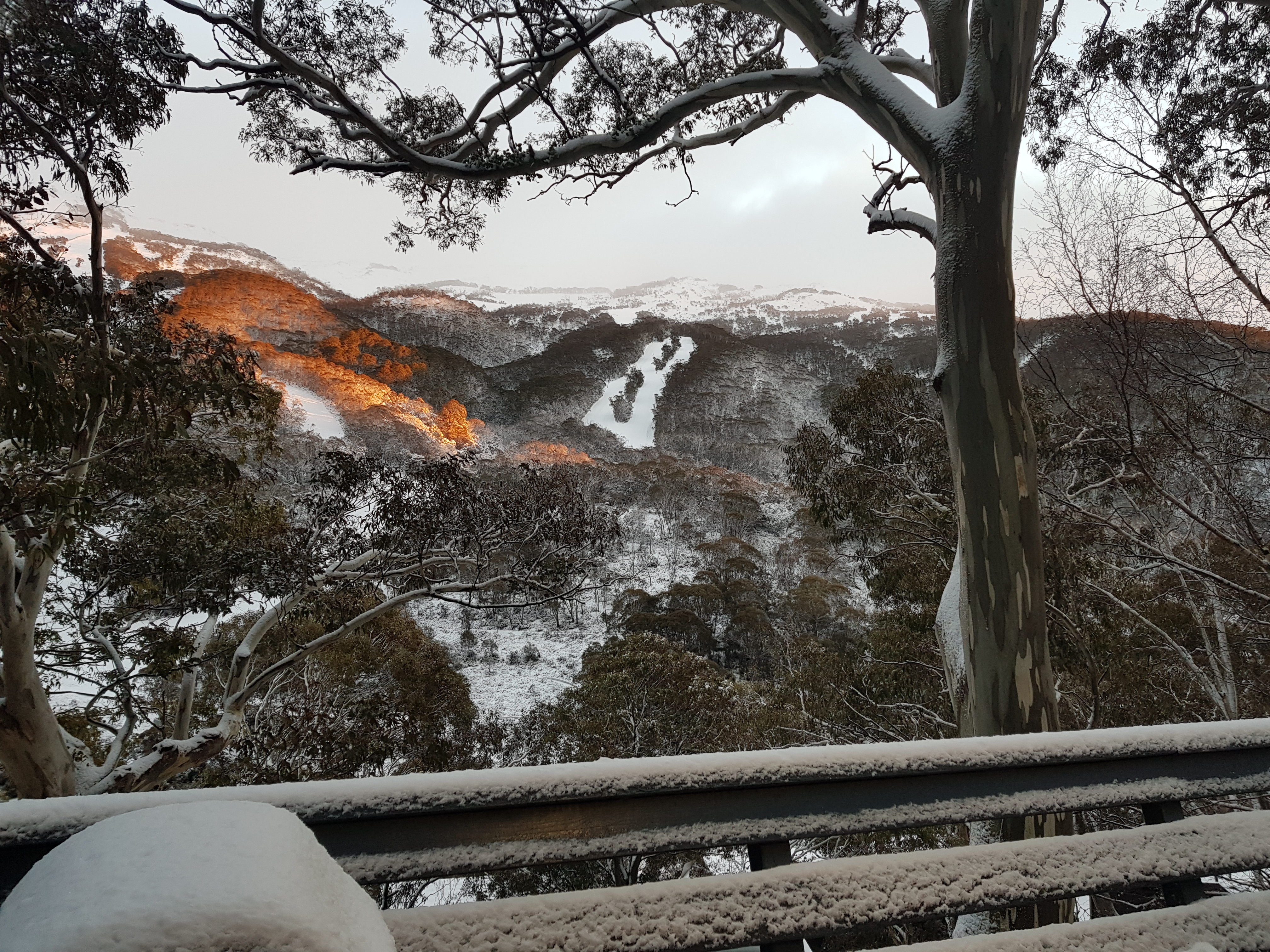 Early morning sunrise