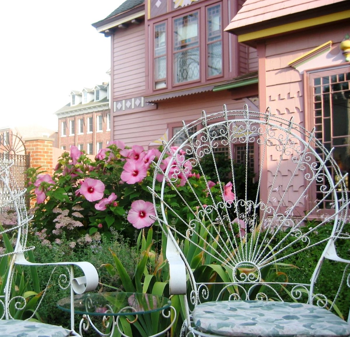 Exterior of the rear of the Towers B&B as seen from the garden.