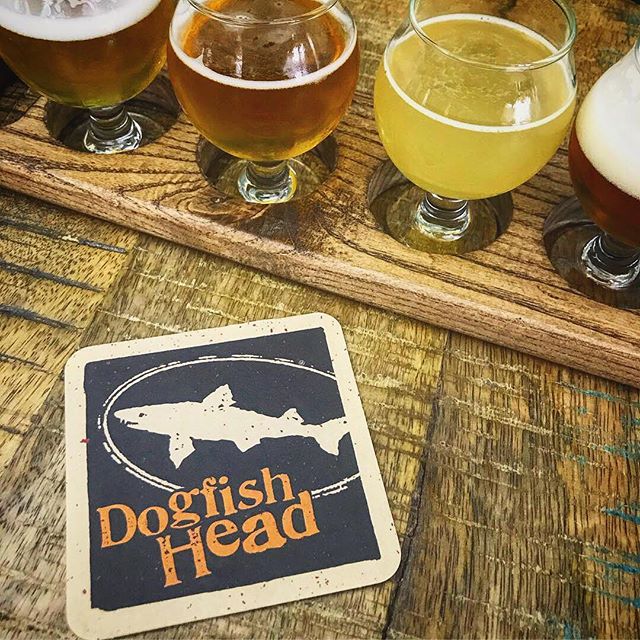 Dogfish Head Brewery in Milford