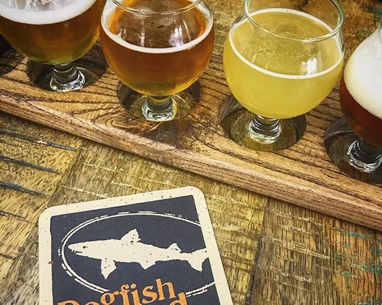 Dogfish Head Brewery in Milford