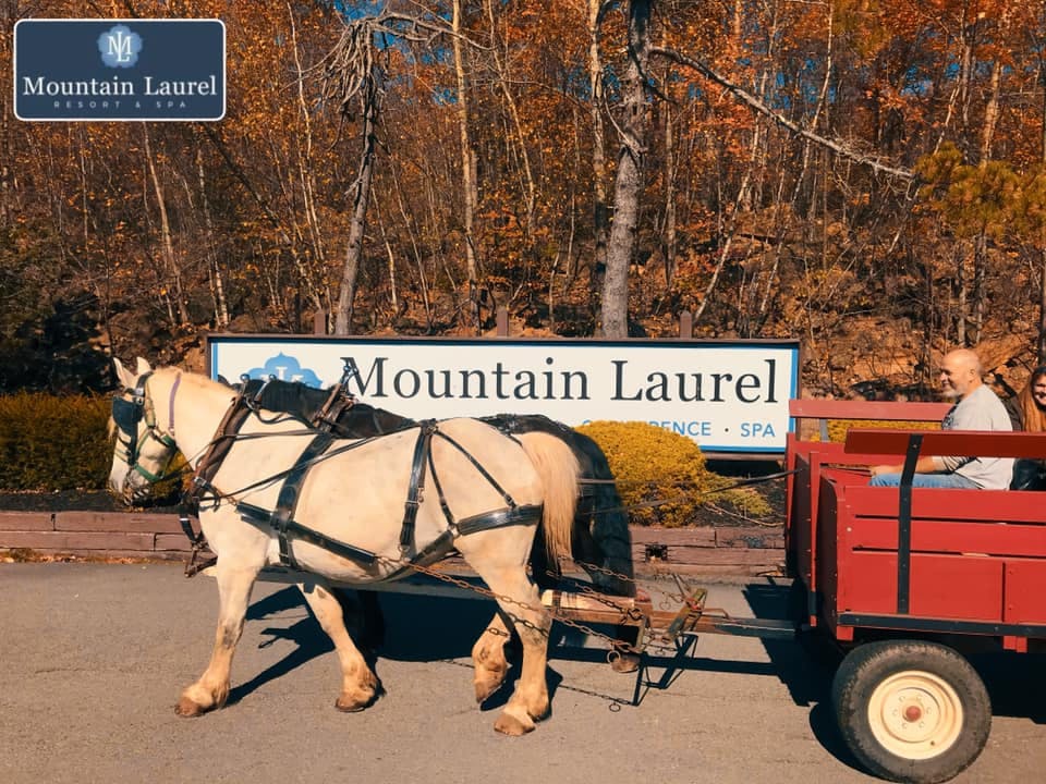 Horse back Riding at Mountain Laurel Resort Stables