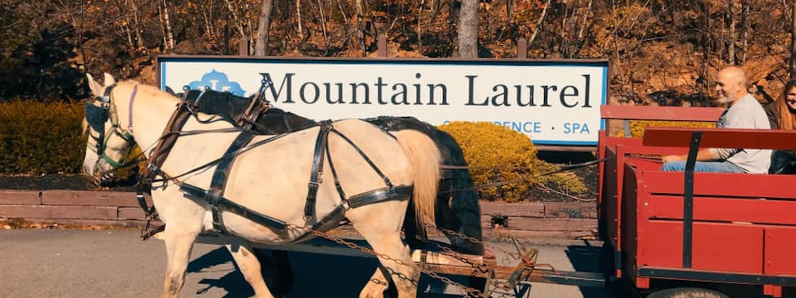 Horse back Riding at Mountain Laurel Resort Stables
