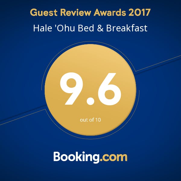 Booking.com 2017 Guest Review Award