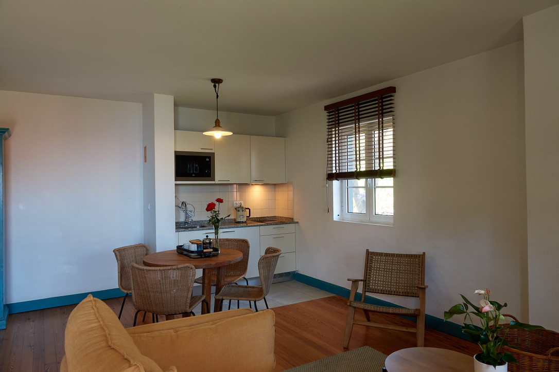 Apartment sitting room / kitchen