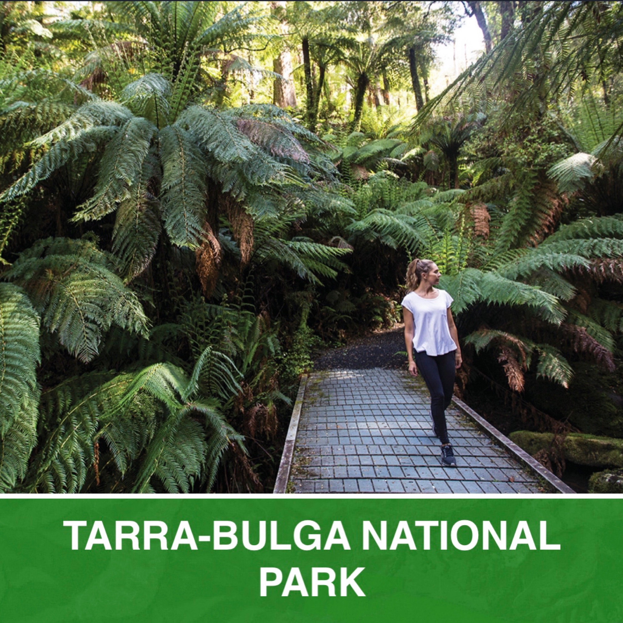 Tarra-Bulga National Park