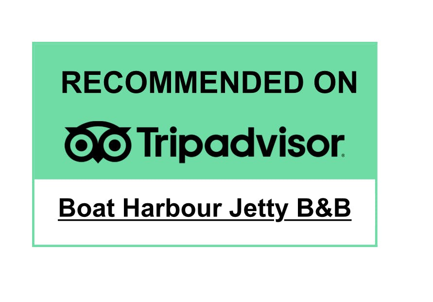 Recommended by Trip Advisor