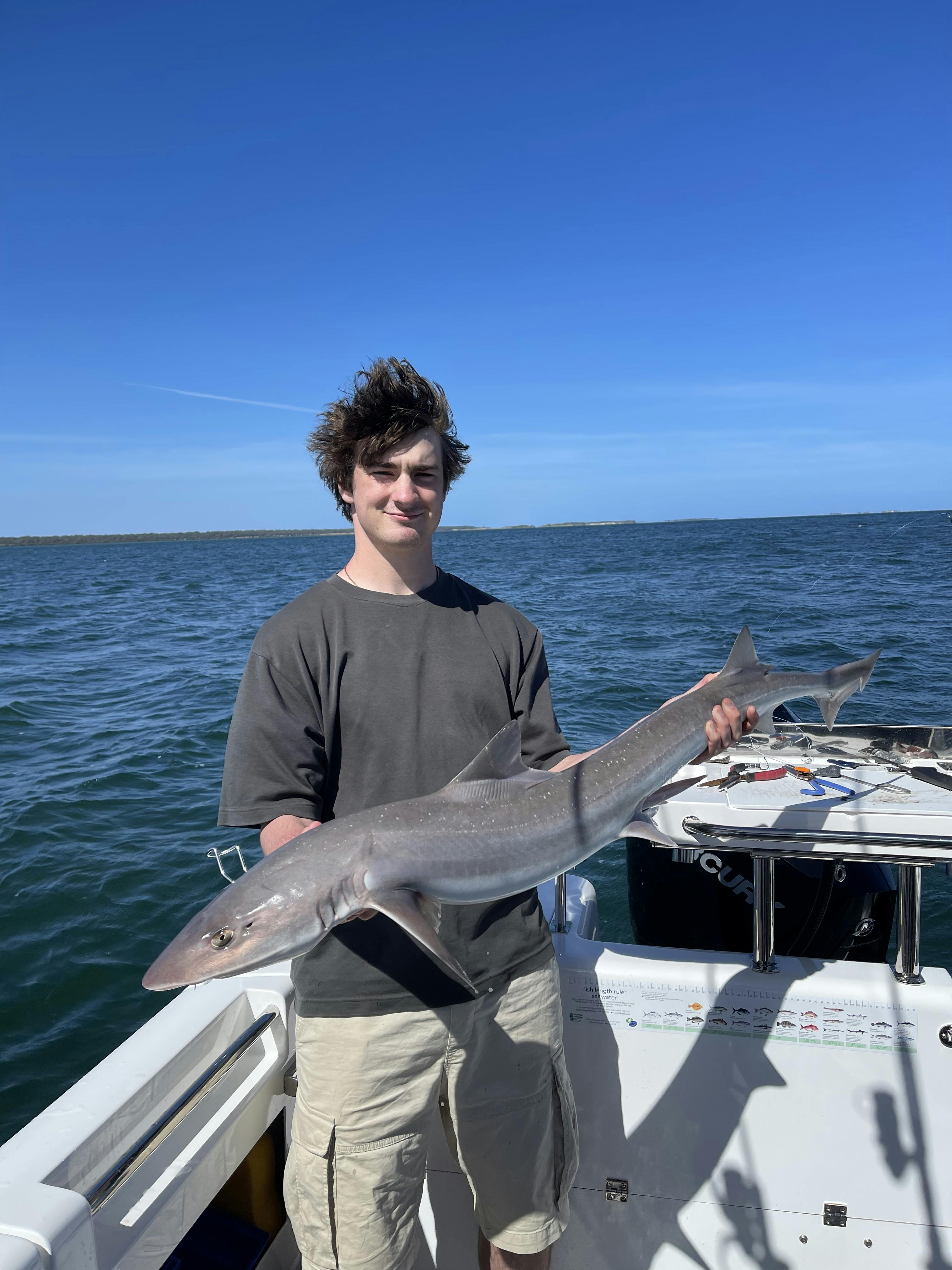 Port Albert Gummy Shark are popular target species